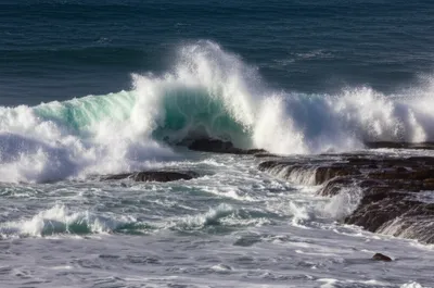 Illustration tide - Image 1