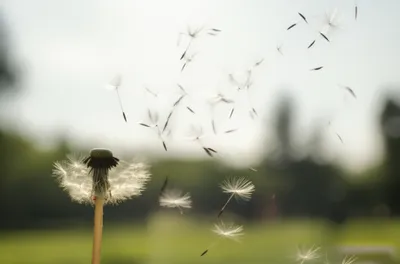 Illustration floated - Image 1