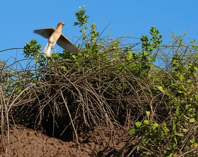 Illustration unstuck - Image 1