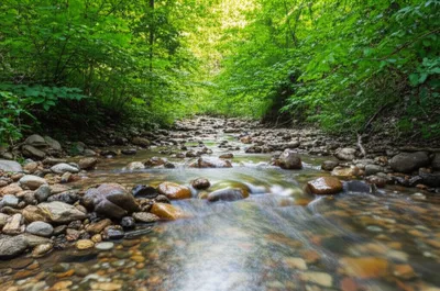 Illustration strands - Image 1