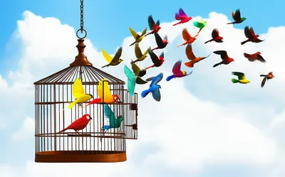 Illustration out - Image 1