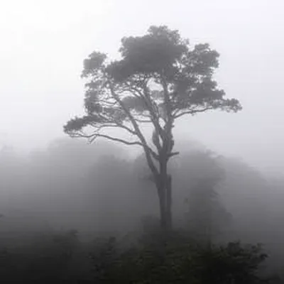 Illustration densest - Image 1