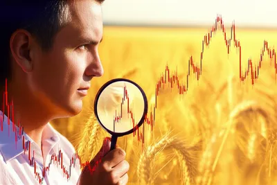 Illustration spec - Image 1