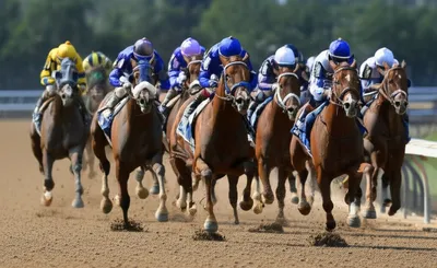 Illustration strings - Image 1