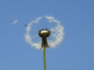 Illustration fuck - Image 1