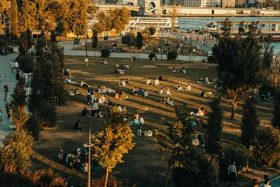 Illustration picnickers