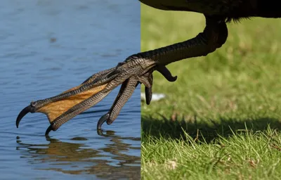 Illustration gradient - Image 1