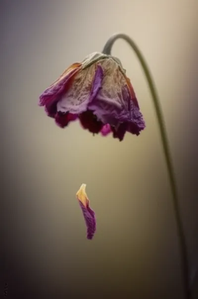 Illustration falling - Image 1