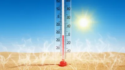 Illustration high - Image 1