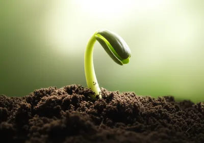 Illustration start - Image 1