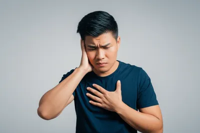 Illustration pet - Image 1