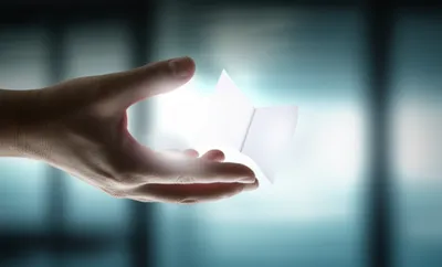 Illustration find - Image 1