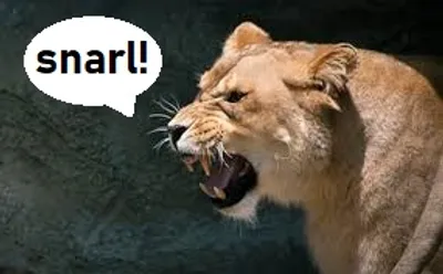 Illustration icon - Image 2