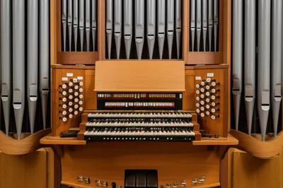 Illustration division - Image 1