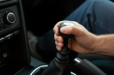 Illustration standard - Image 1