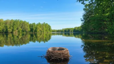 Illustration lay - Image 1