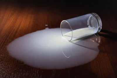 Illustration spilt - Image 1