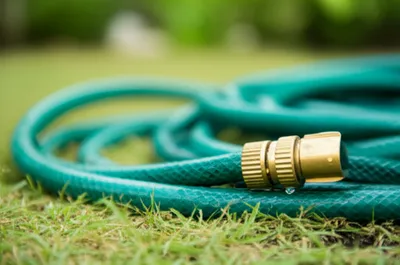 Illustration snouts - Image 1