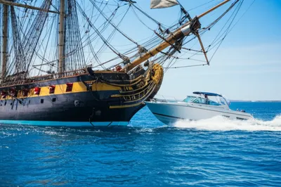 Illustration stem - Image 1