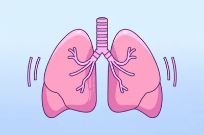 Illustration bellows - Image 1