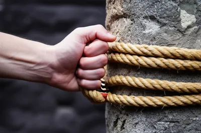 Illustration bound - Image 1