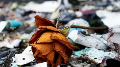 Illustration blowing - Image 1