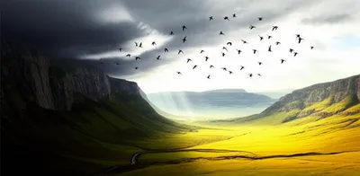 Illustration transited - Image 1