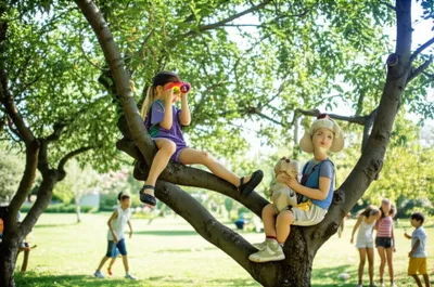 Illustration watched - Image 1