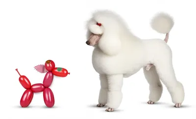 Illustration twerp - Image 1