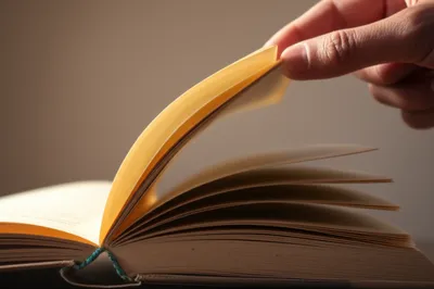 Illustration paging - Image 1