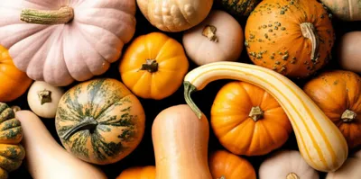 Illustration pumpkin - Image 1