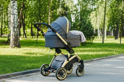 Illustration carriages - Image 1