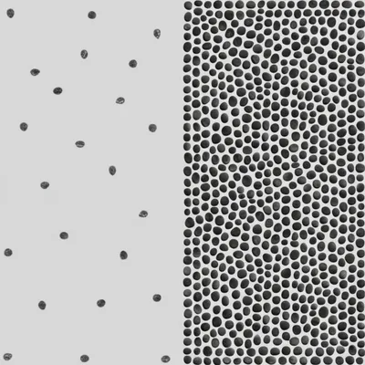 Illustration denser - Image 1