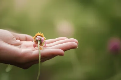 Illustration eased - Image 1