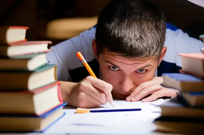 Illustration buckles - Image 1