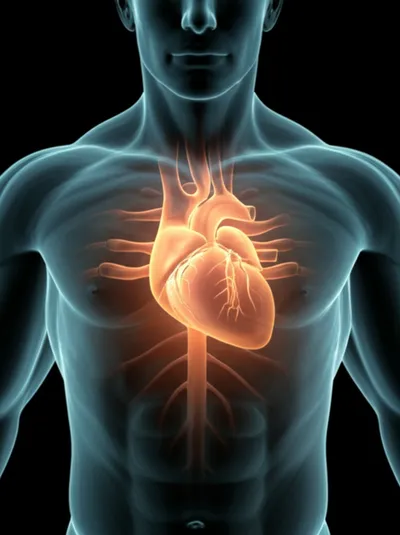 Illustration undulations - Image 1