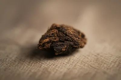 Illustration fig - Image 1