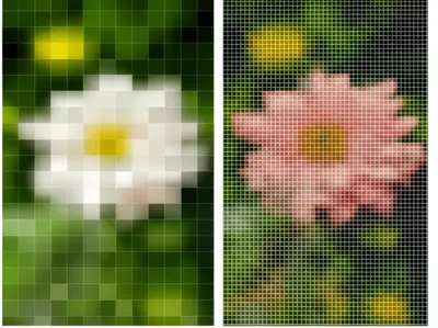 Illustration rez - Image 1