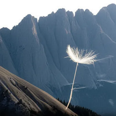 Illustration piddling - Image 1