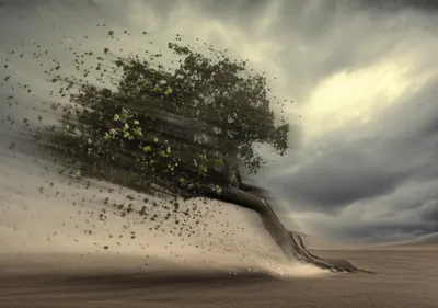 Illustration blasted - Image 1