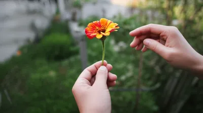 Illustration devolved - Image 1