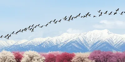 Illustration migrated - Image 1