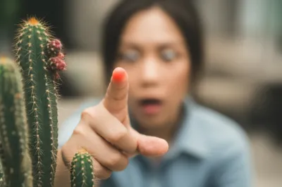 Illustration prickling - Image 1