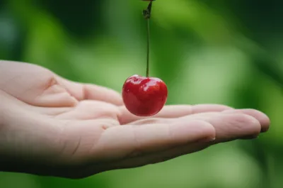 Illustration drops - Image 1