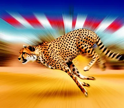 Illustration quickest - Image 2