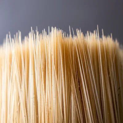 Illustration bristles