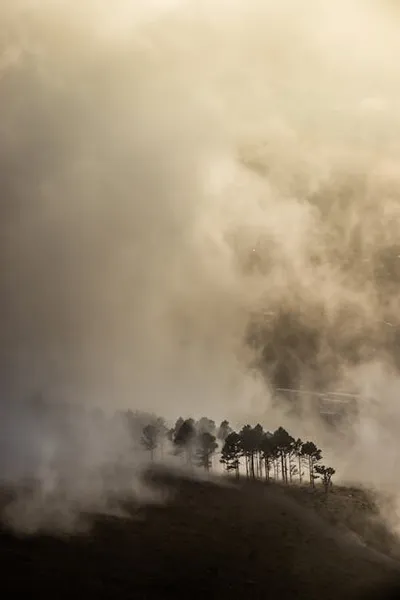 Illustration engulfs - Image 2