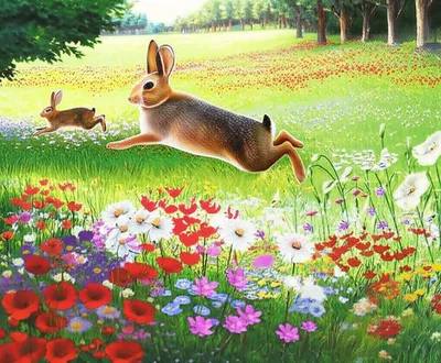 Illustration commons - Image 1