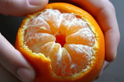 Illustration albedo - Image 1