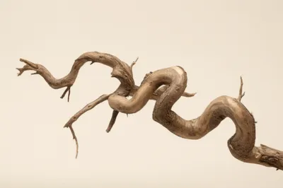 Illustration twists - Image 1